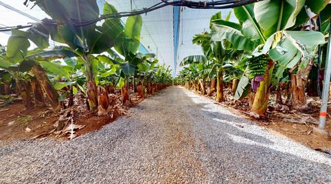 Photo 2 of Land for sale in Sardina, Gáldar