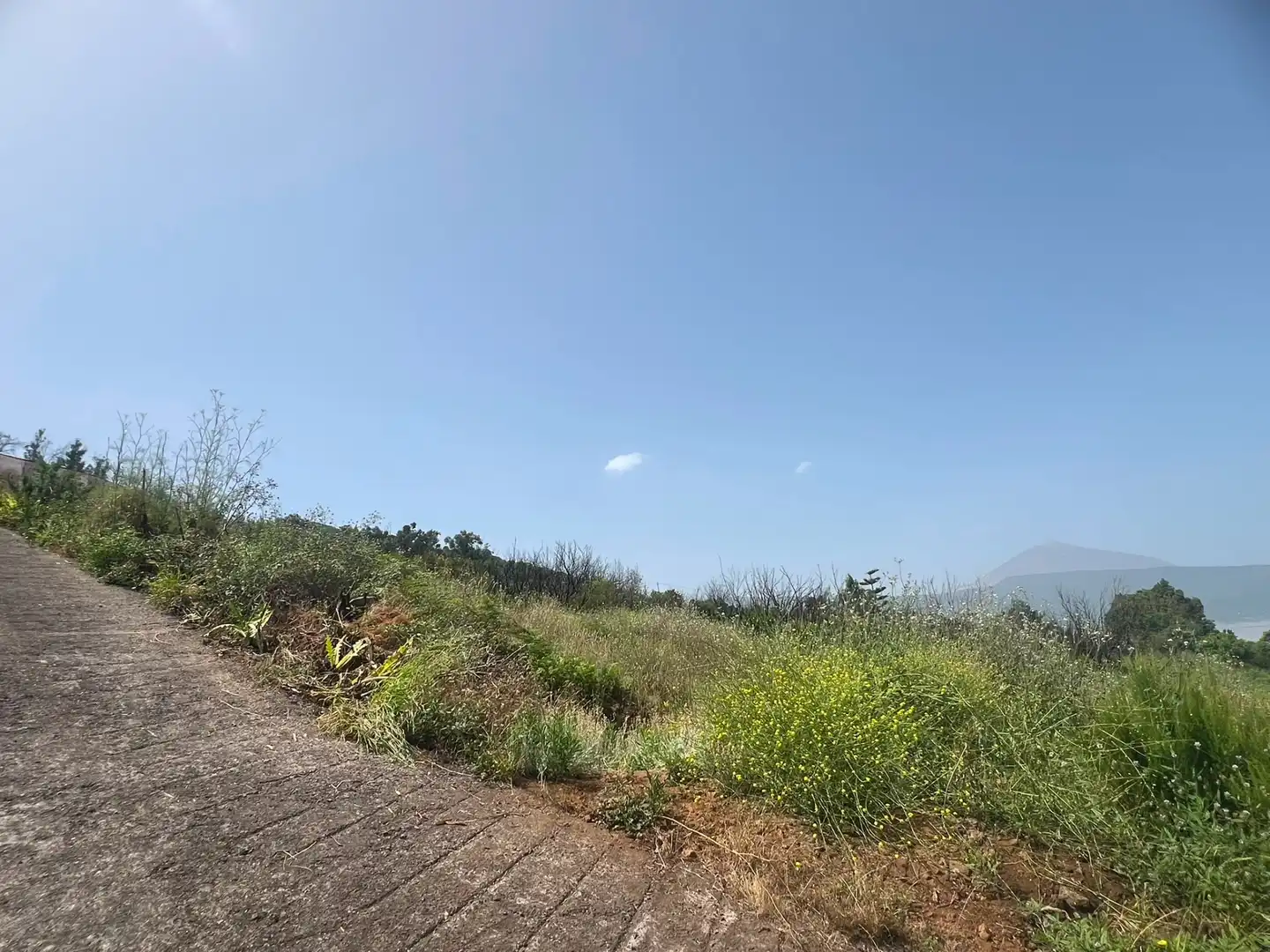 Terreno rústico en venta en Carretera Nueva Corujera, imagen 14