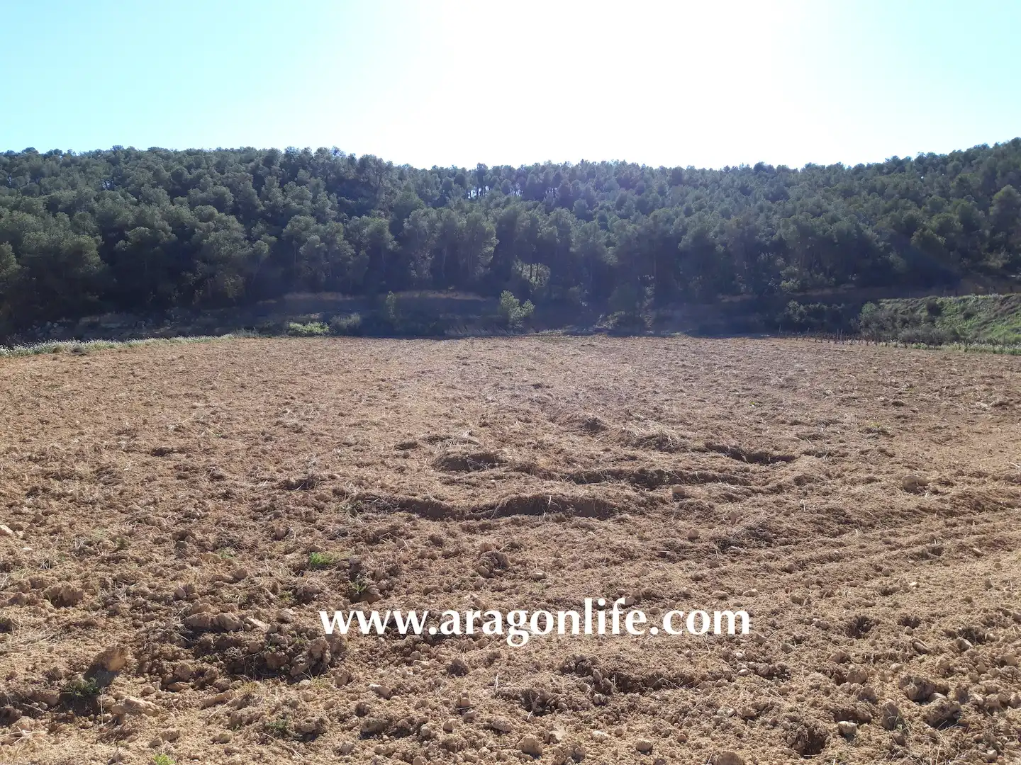 Finca rústica en venta en Nonaspe