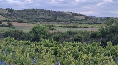Foto 4 de Terreny en venda a Carretera Encinacorba, 14, Cariñena, Zaragoza