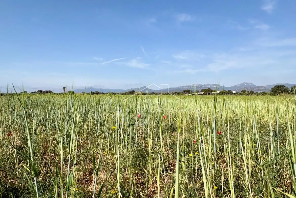 Terreny rústic en venda a Ardiaca - La Llosa, imagen 18