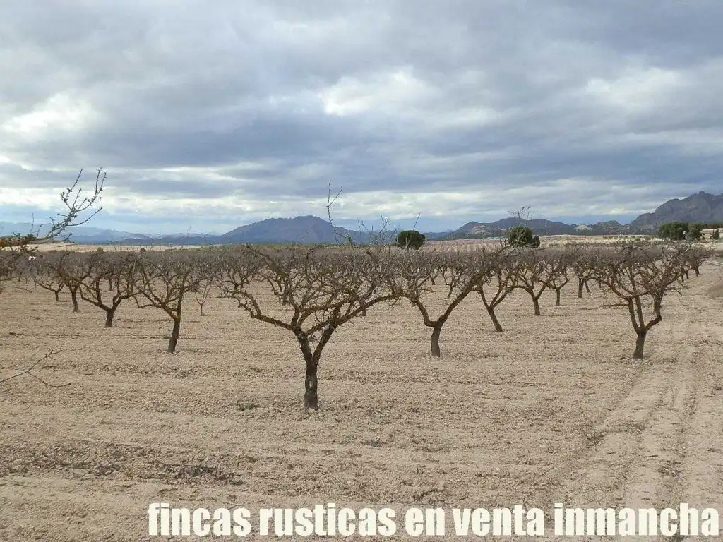 Rustikales Grundstück zum Verkauf in Cieza, imagen 8