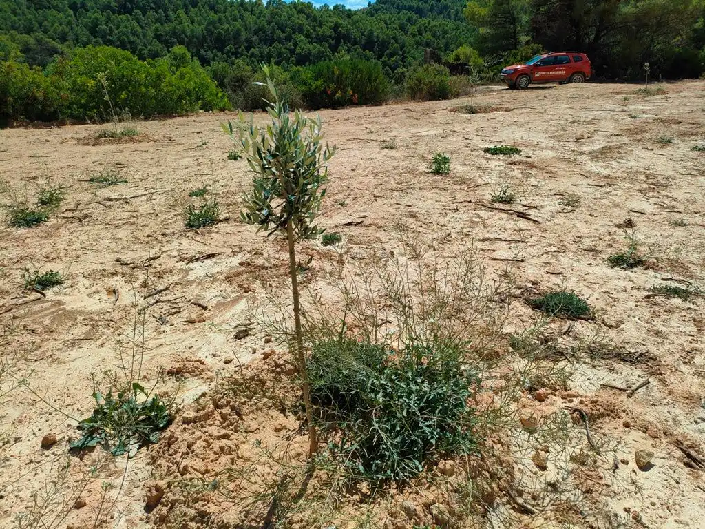 Rural land for sale in Horta de Sant Joan, imagen 12
