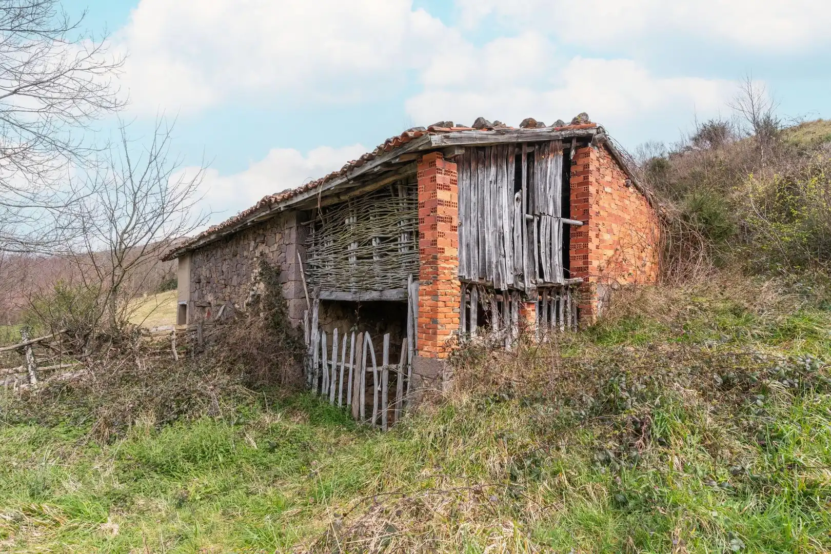 Exterior view of Land for sale in Riosa
