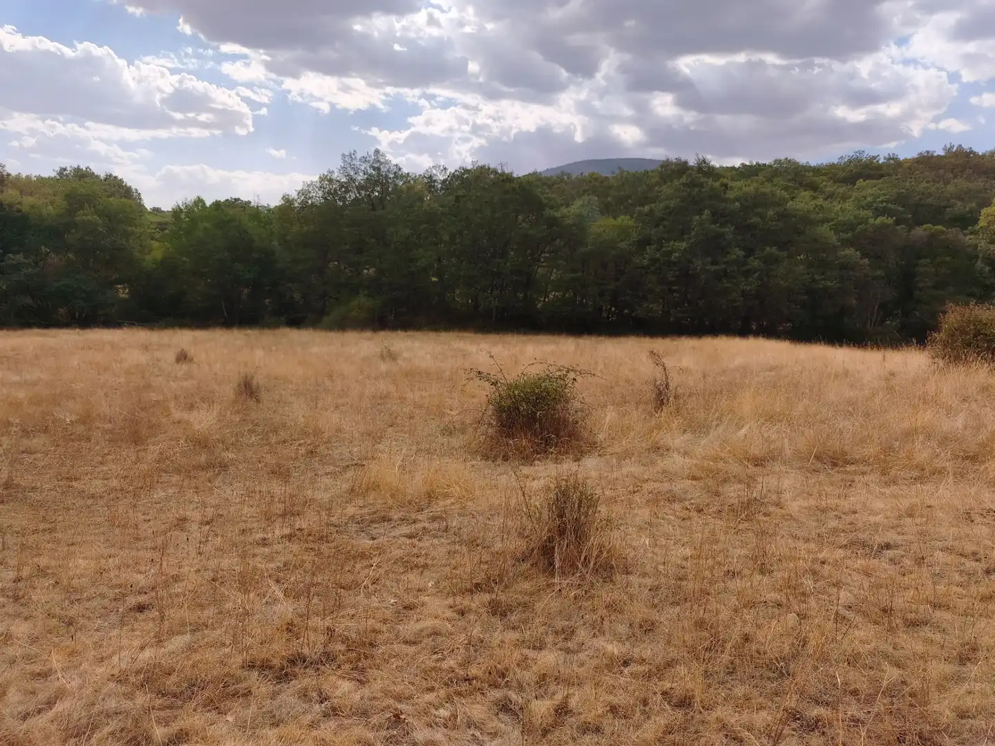 Terreno en venta en Piñuécar-Gandullas