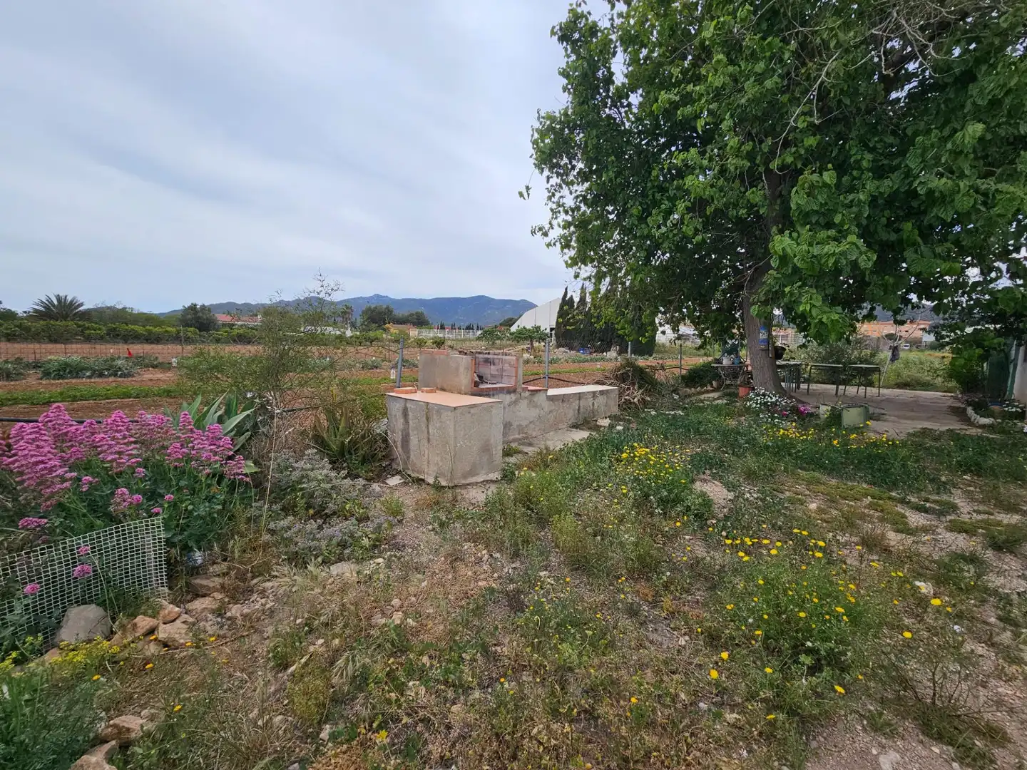 Landhaus zum Verkauf in Eucaliptus- Poble Nou del Delta, imagen 14