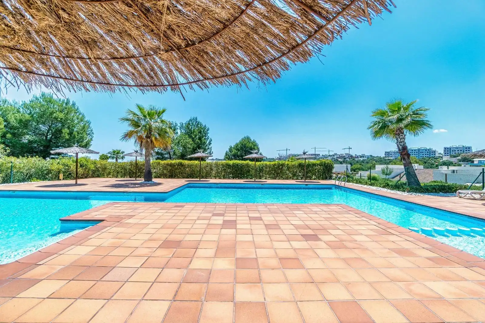 Apartamento con piscina en venta en Orihuela Costa, imagen 4