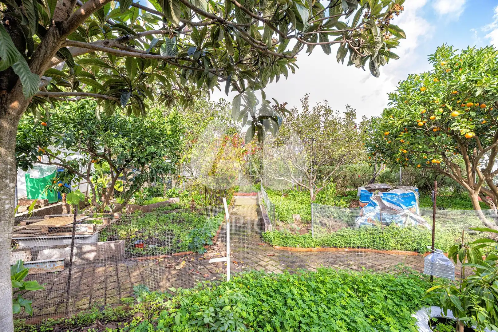 Casa rústica amb jardí en venda a Calle Los Parrales 12, imagen 28