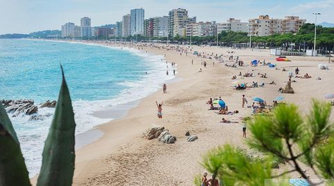 Platja dAroLocal, imatge 2