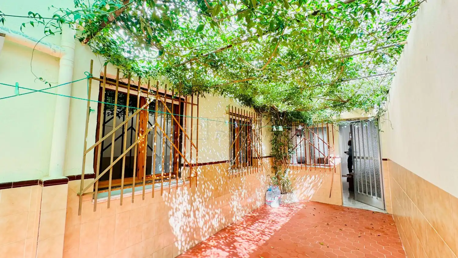 Vista exterior de Casa o chalet en venta en Torrevieja con Jardín privado y Terraza