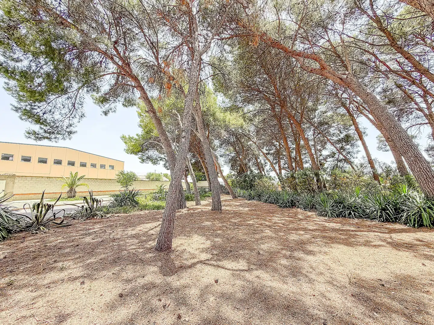 Casa o xalet en venda en Yecla amb Terrassa i Moblat
