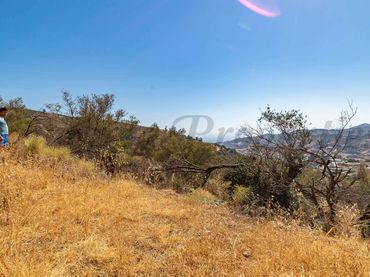 Terreno rustico in vendita a Torrox Pueblo