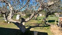 Jardí de Casa o xalet en venda en Chiclana de la Frontera