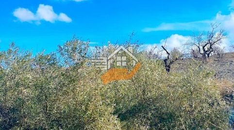 Finca Rúst. en venta en VélezRubio.