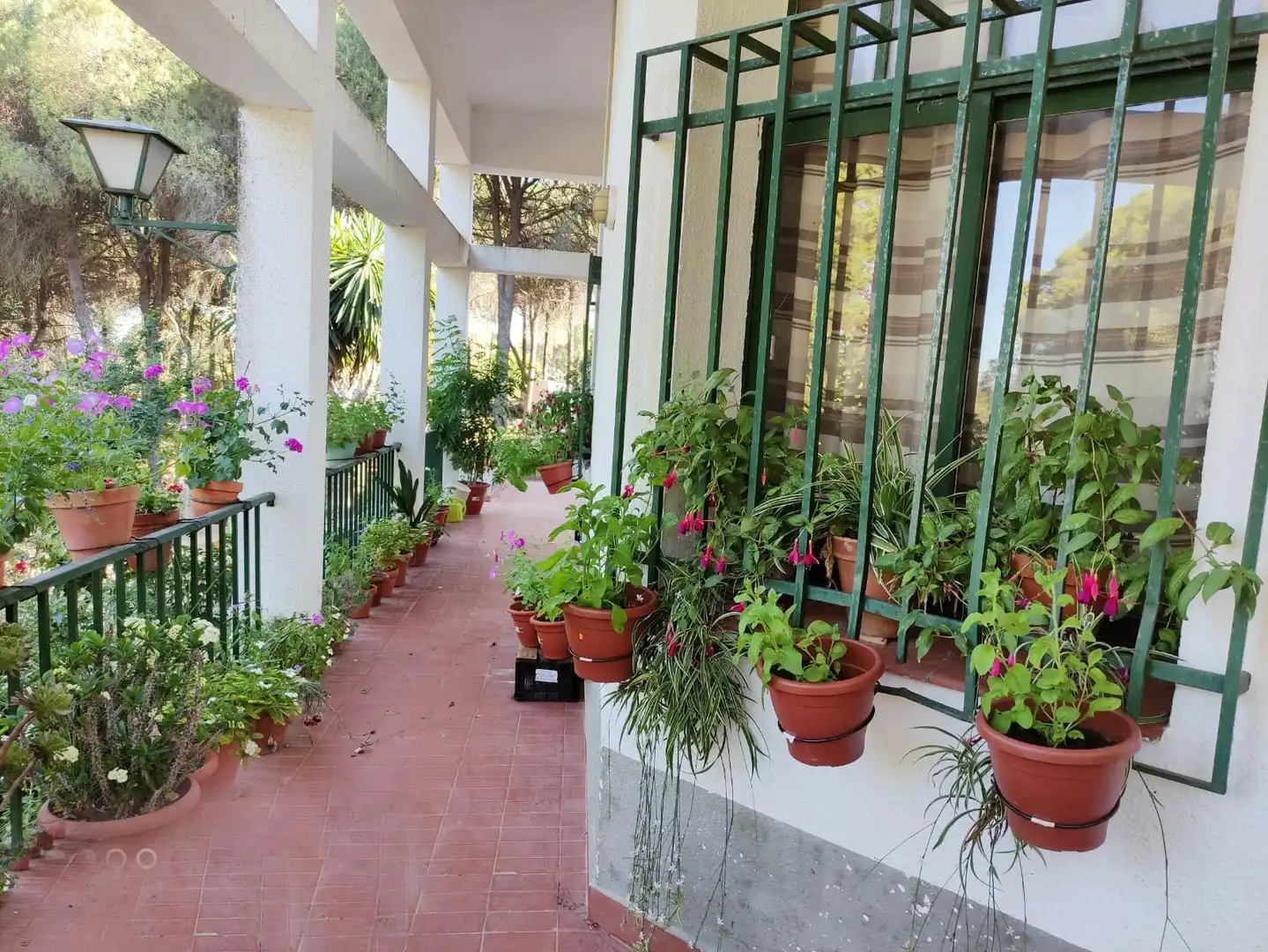 Casa en venda a Beas, imagen 14