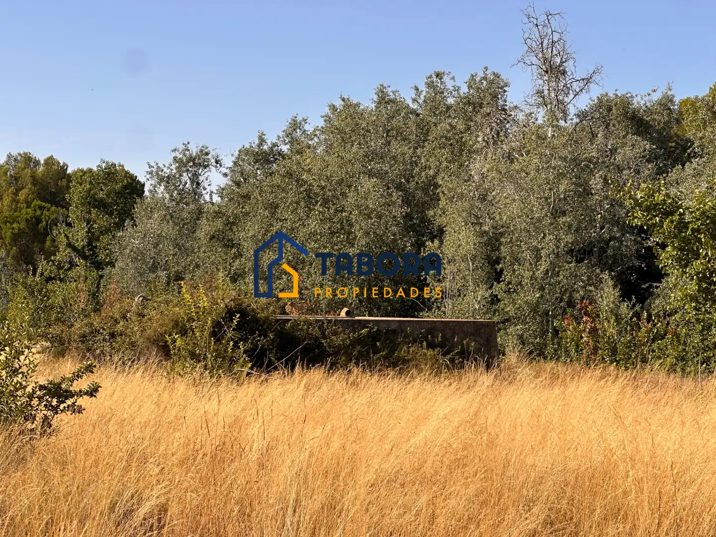 Terreny rústic en venda a Avinguda de la Constitució 8, imagen 8