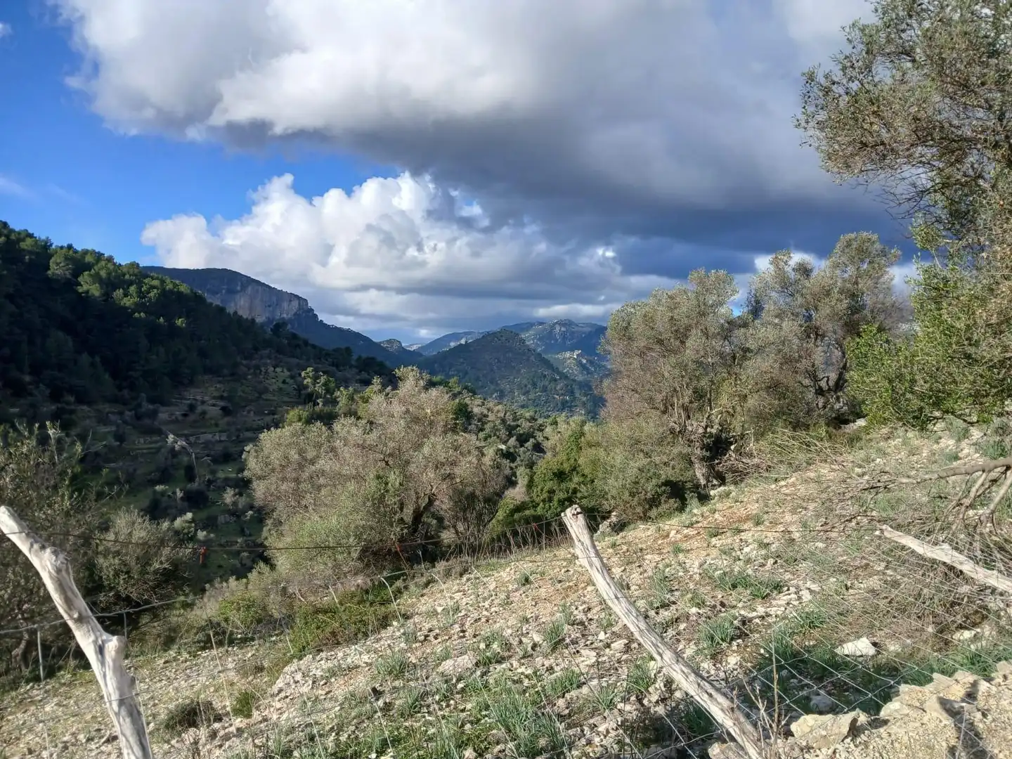 Finca rústica en venta en Mancor de la Vall