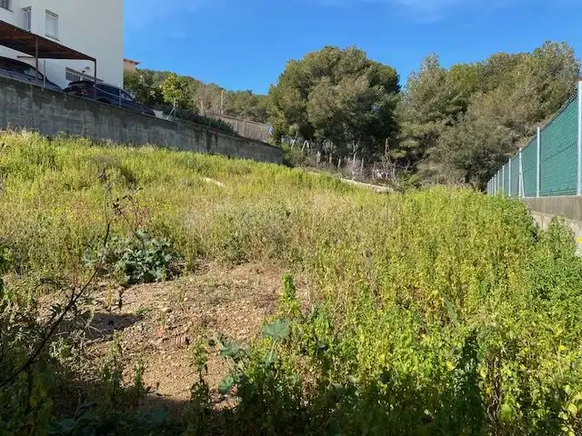 Imatge 5 de l'anunci