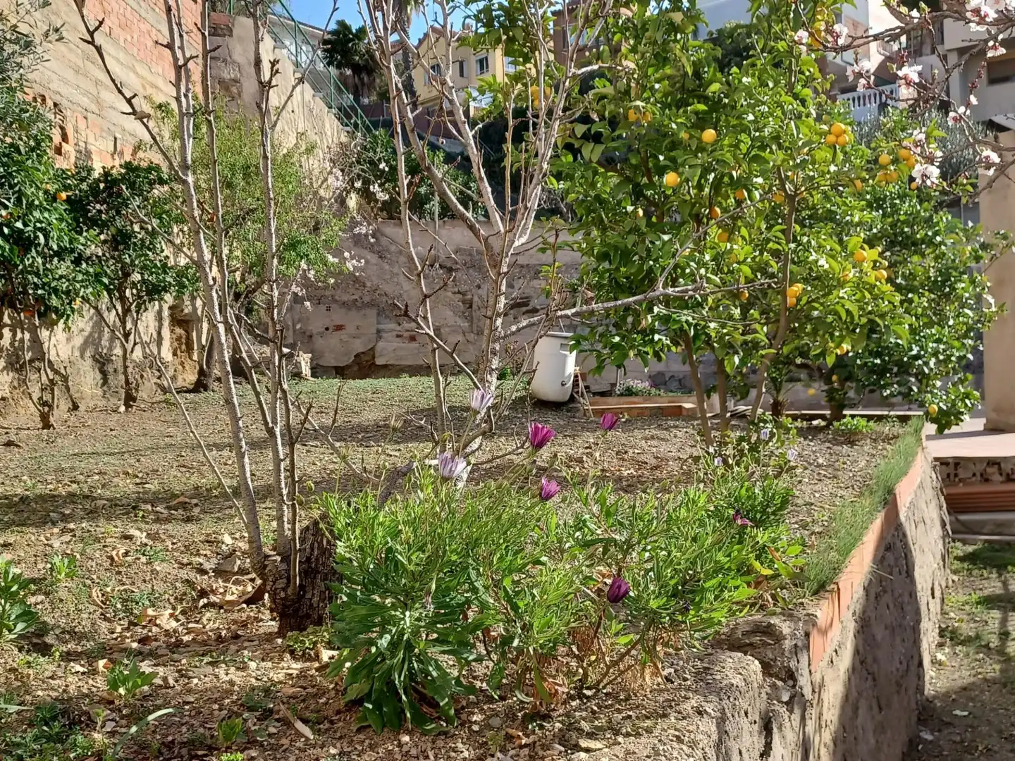 Casa amb terrassa en venda a La Miranda, imagen 5