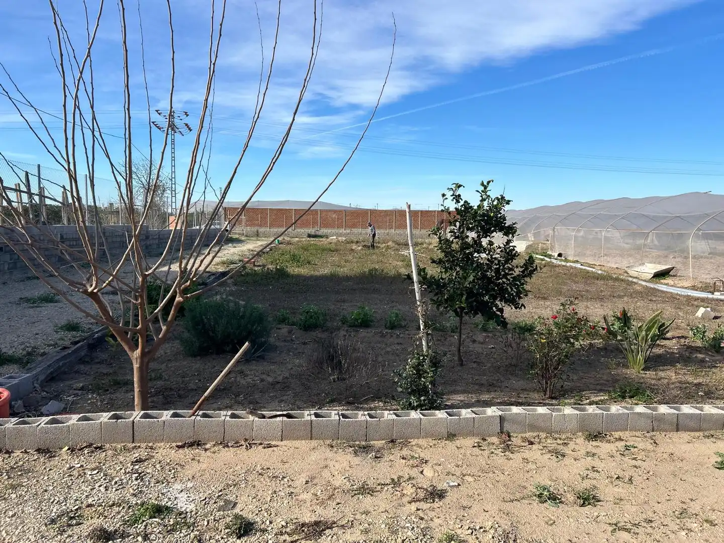 Rural land for sale in Mareny Blau, imagen 5