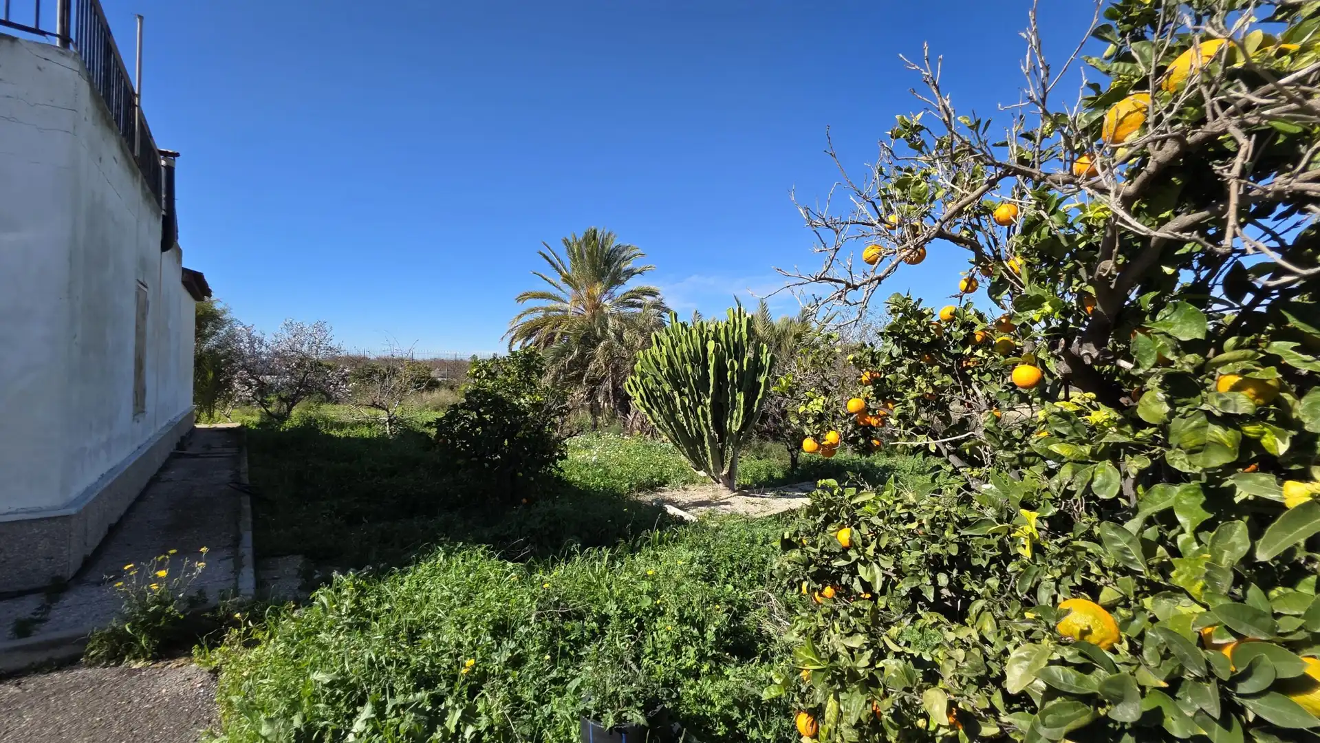 Finca rústica en venda a Las Bayas