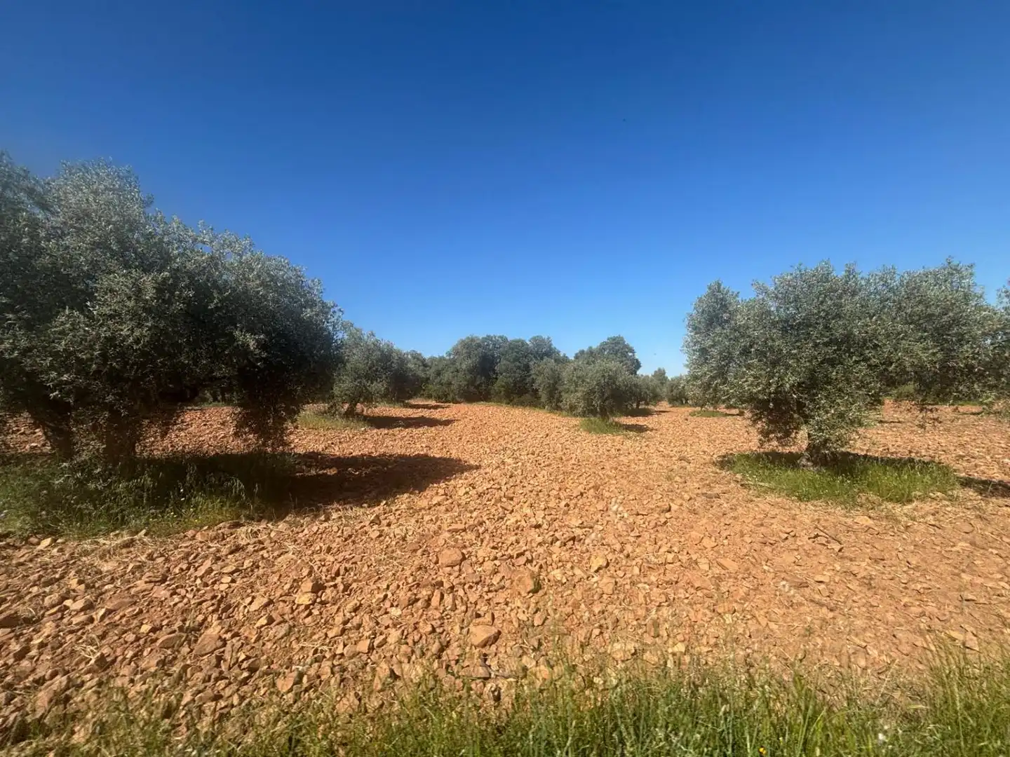 Finca rústica en venda en Ciudad Real