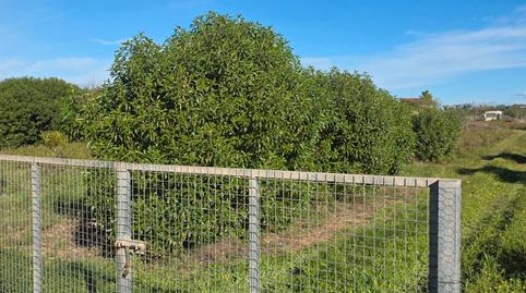 Photo 5 of Country homes for sale in Manacor Centre, Manacor