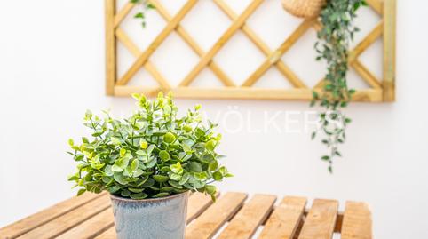 Foto 5 de Estudio de alquiler en Carrer de Dalt de la Mar, Natzaret,  Valencia Capital