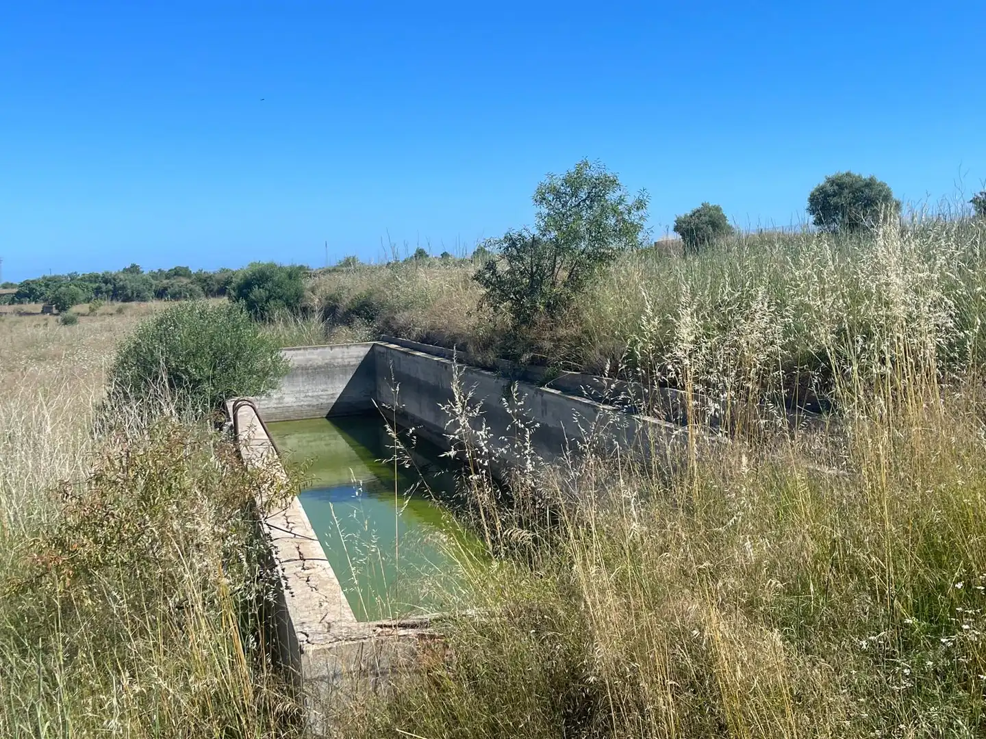 Land for sale in Alcalà de Xivert