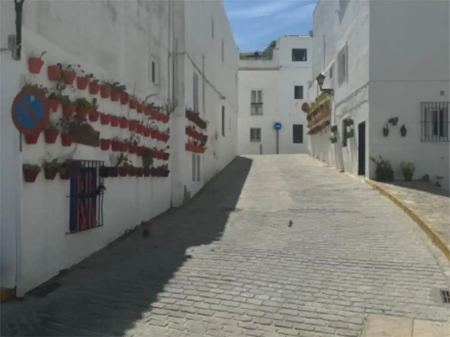 Vista exterior de Pis en venda en Vejer