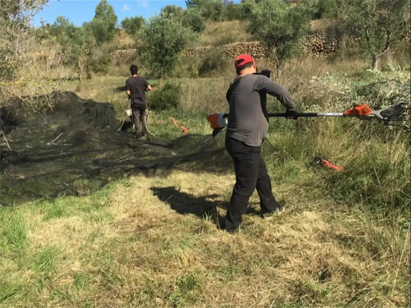 Jardí de Finca rústica en venda en Salomó