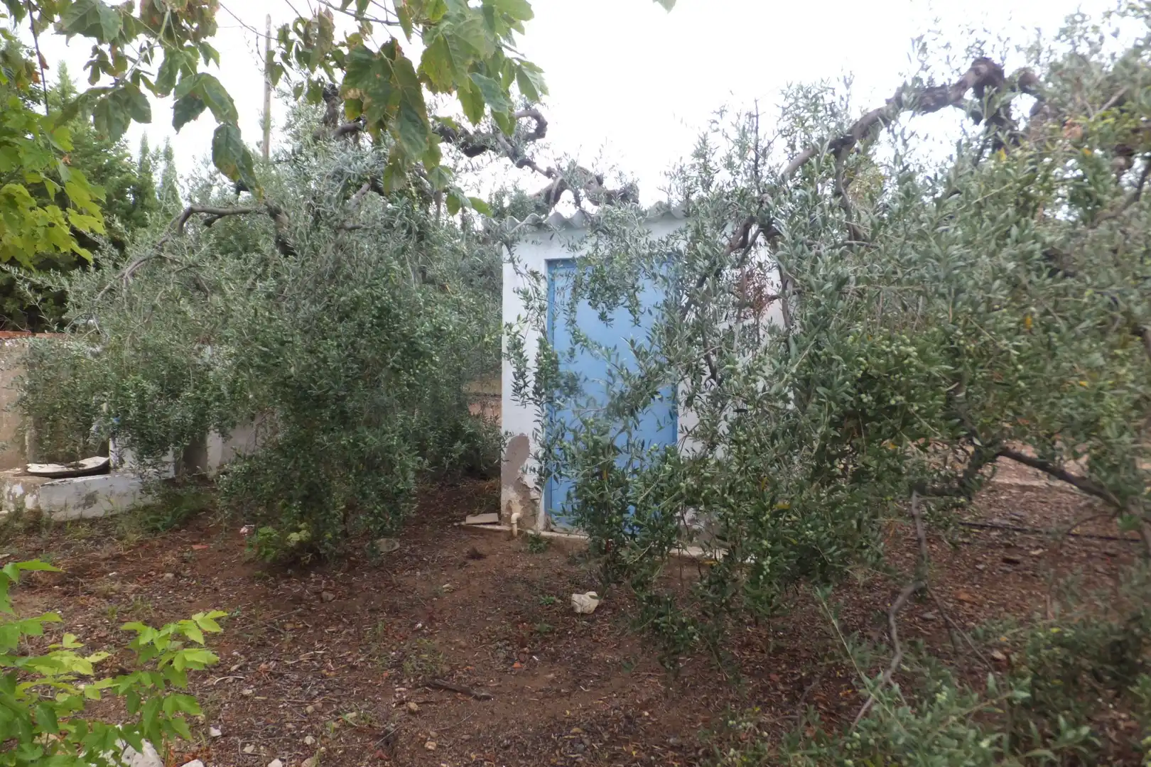 Terreno rústico en venta en Riudoms, imagen 34