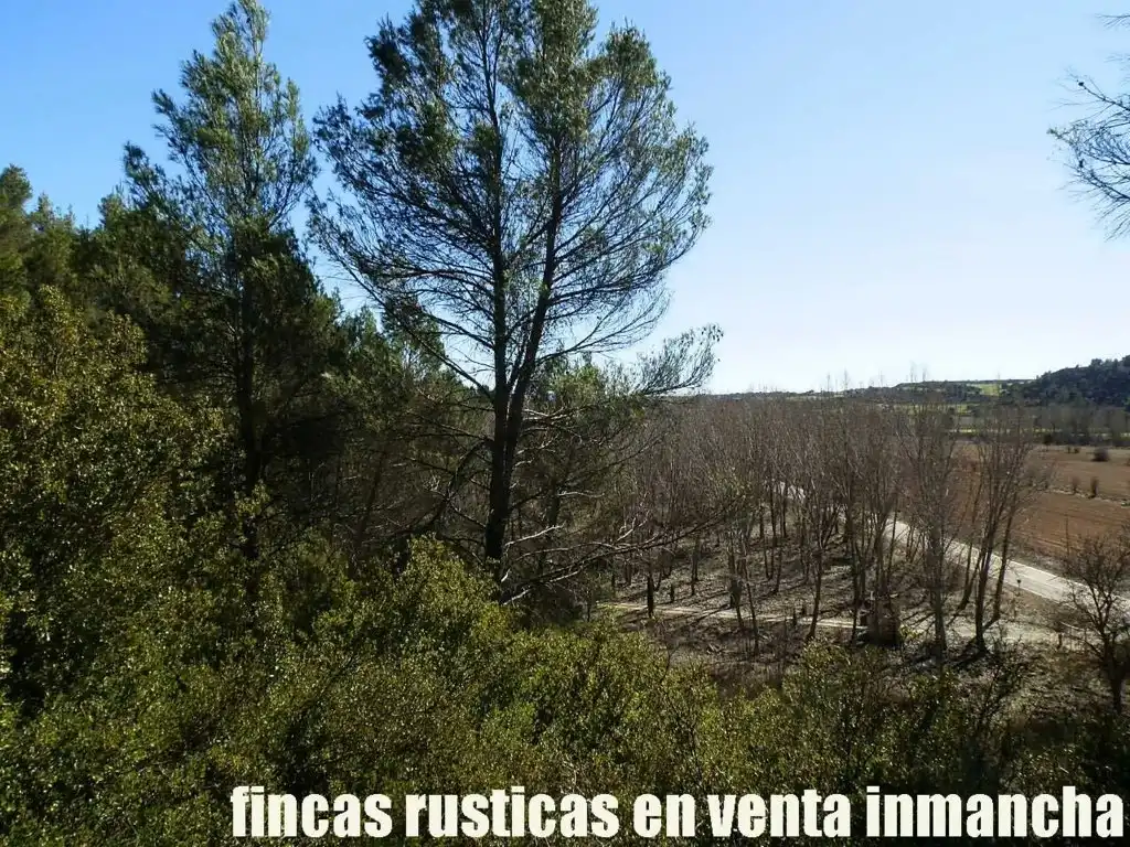 Land for sale in Valdeolivas
