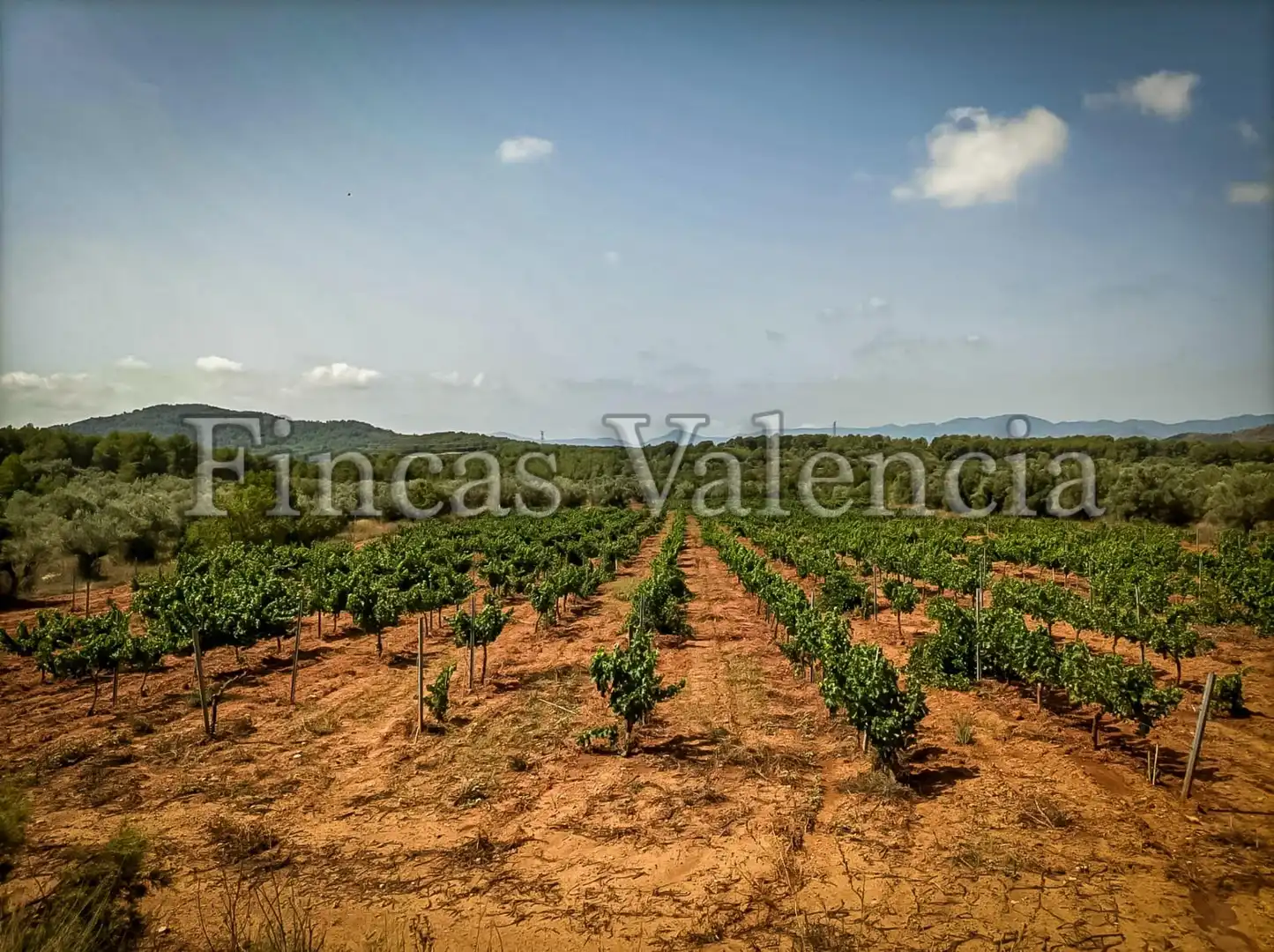 Country homes for sale in Calle SONEJA, Azuébar