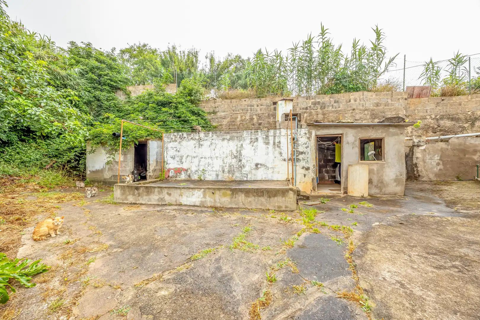 Casa o chalet en venta en Calle Sinesio Yánez Travieso, 41, El Palmar