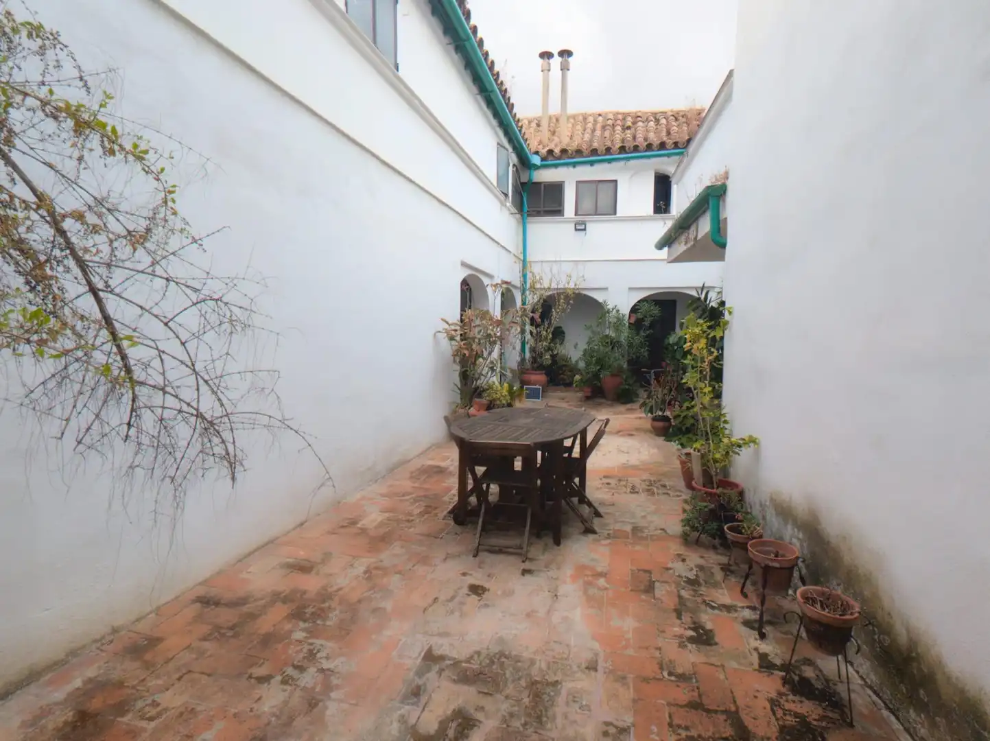 Jardí de Casa o xalet en venda en Córdoba