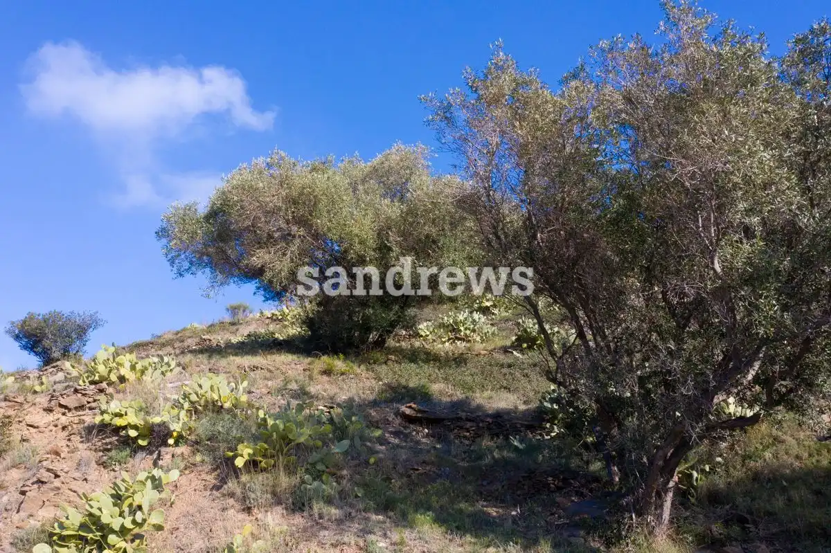 Lands and plots for sale in El Port de la Selva, imagen 6
