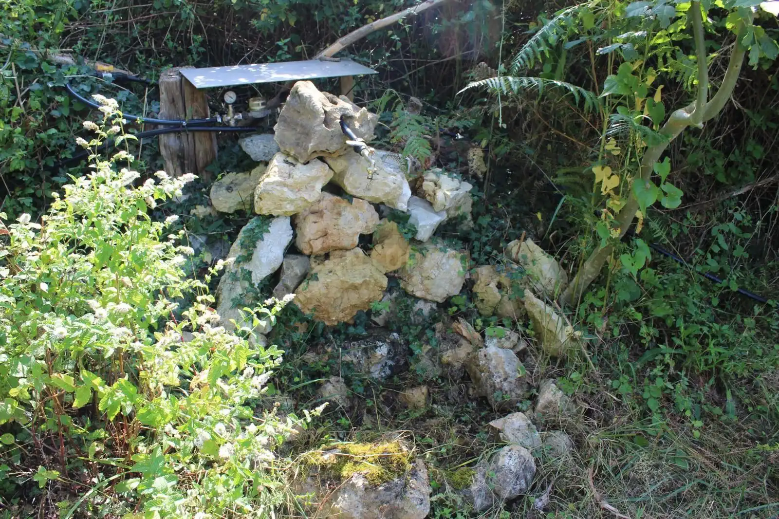 Jardín de Terreno en venta en Donamaria