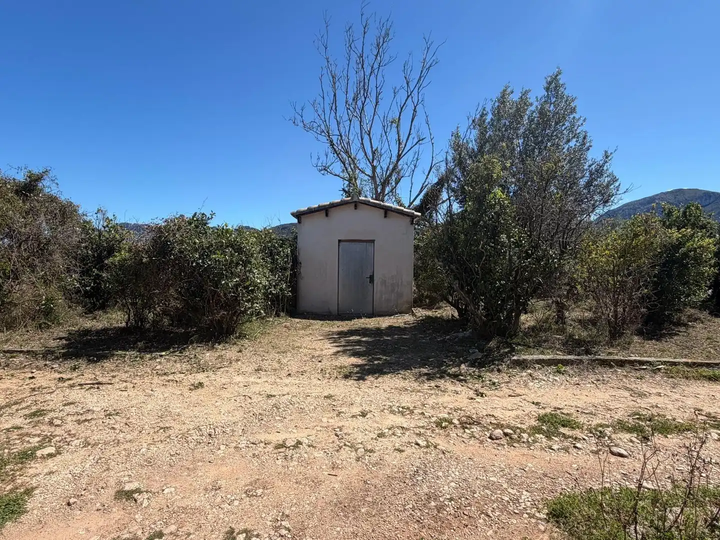 Rural land for sale in Pego, imagen 3