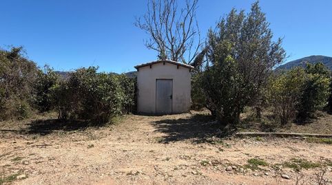 Finca rustica, imatge 3