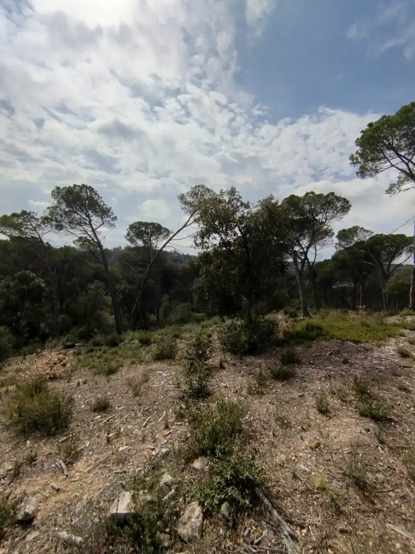 Terrenys i solars en venda a URGELL, AIGUESBONES, imagen 2