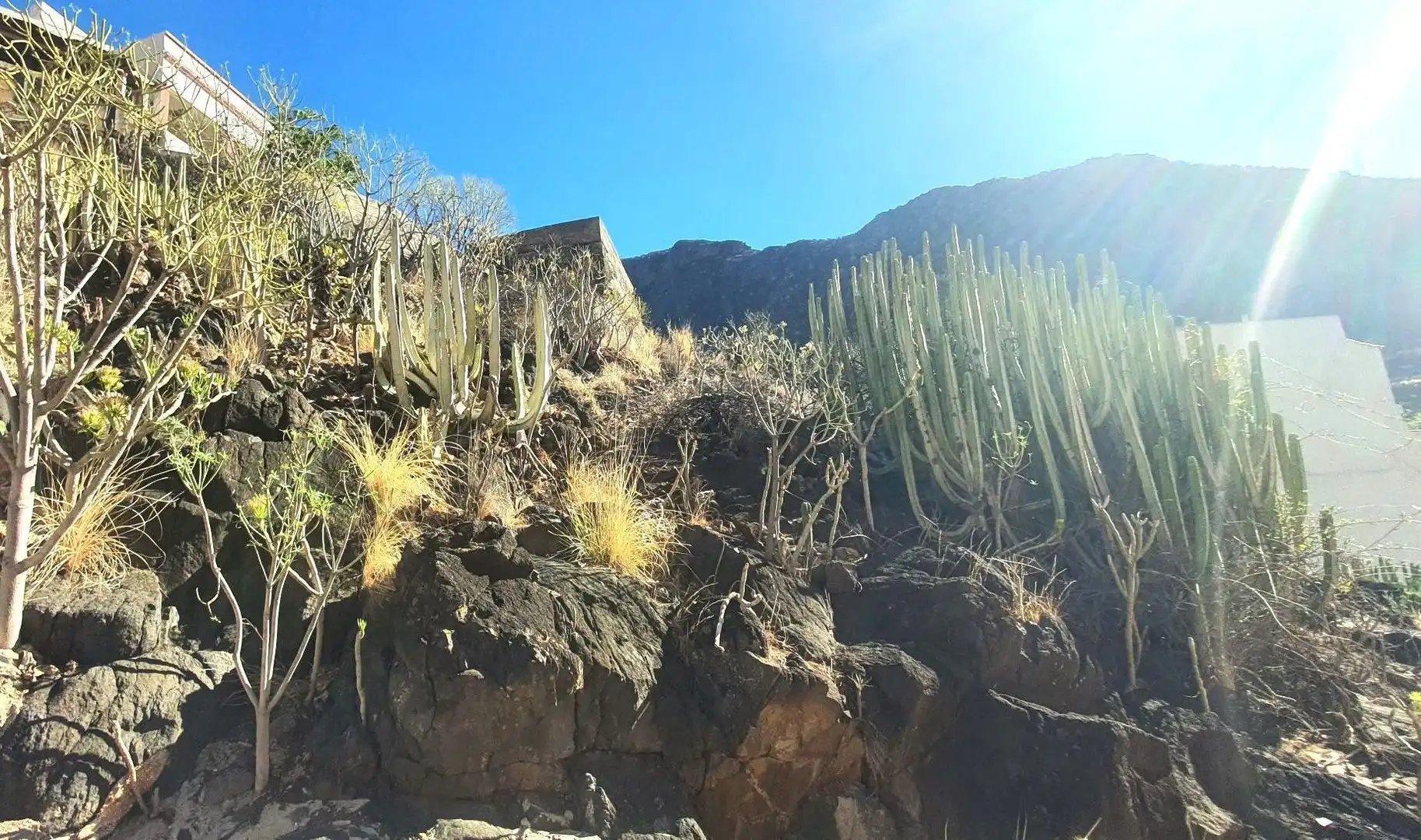 Exterior view of Residential for sale in Santa Cruz de Tenerife