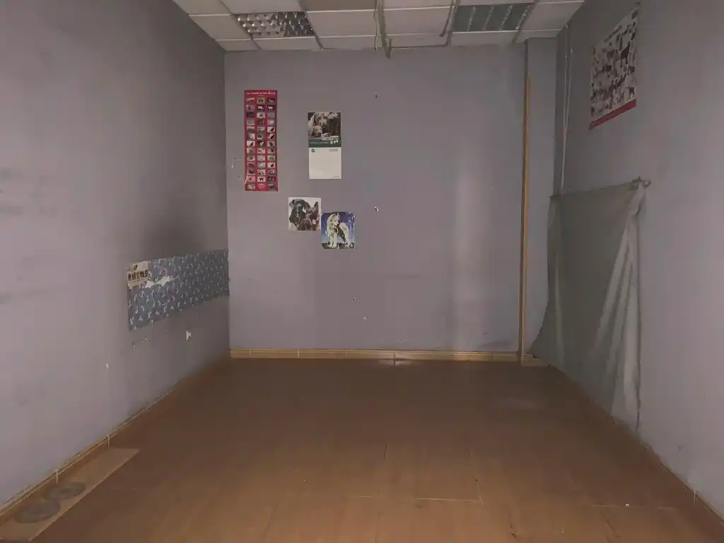 Local comercial en venda a Avenida Schulz, imagen 6