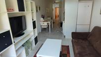 Apartment to rent in San Nicolás, imagen 1