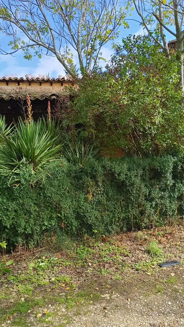 Edificio en venta en Pasaje Sopetran, Cañizar