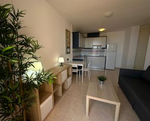 Sala d'estar de Loft de lloguer en Vícar amb Terrassa