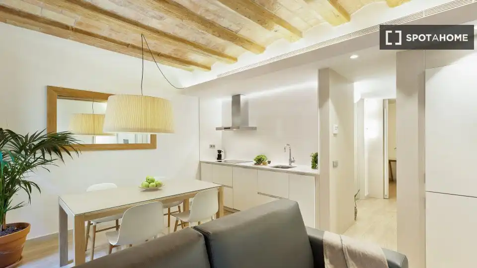 Flat with terrace to rent in Ciutat Vella, imagen 9