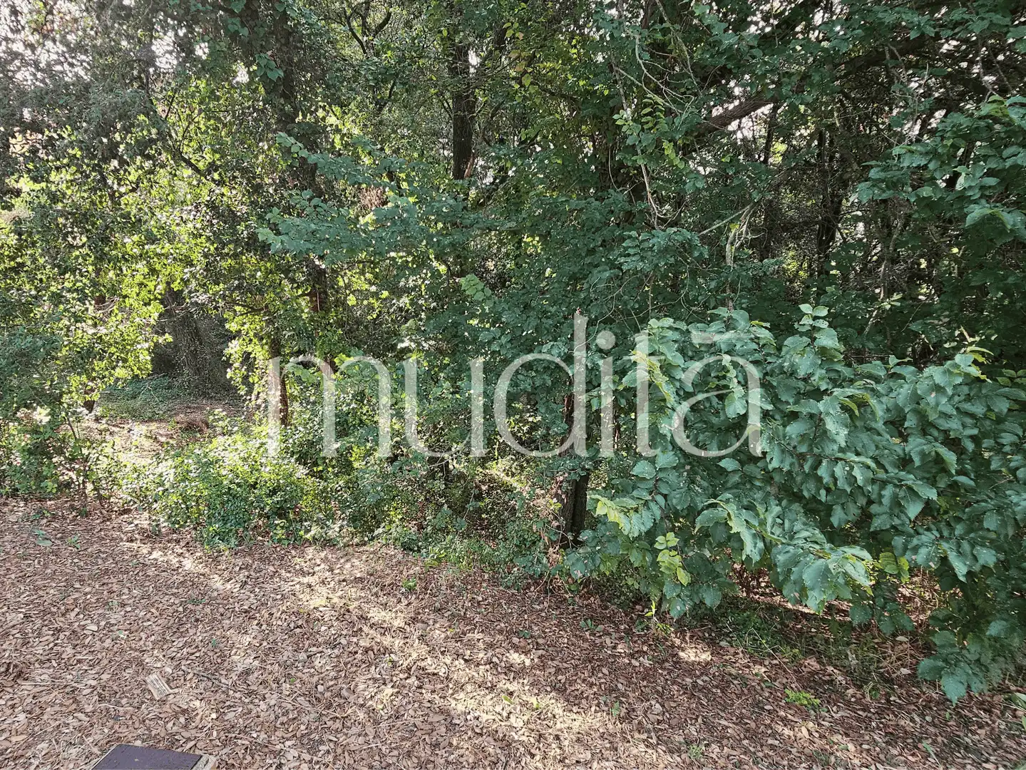Residential land for sale in del Xaloc, imagen 19