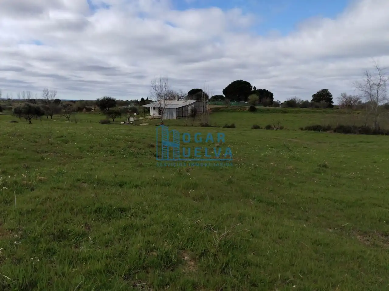 Finca rústica en venda en Bollullos Par del Condado amb Terrassa