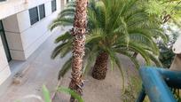 Garden of Flat for sale in Elche / Elx  with Terrace and Balcony